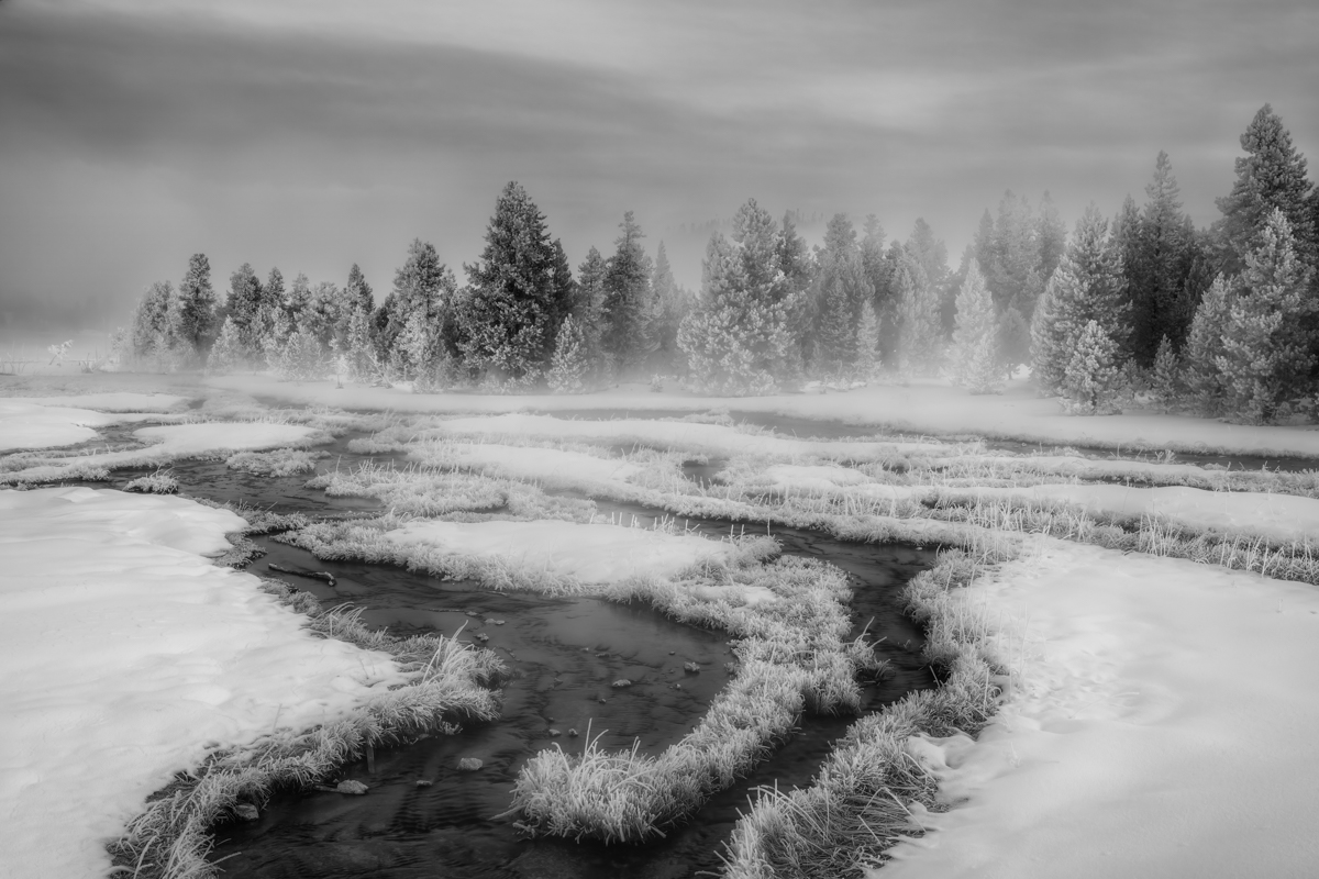 Winter Frost at Dawn