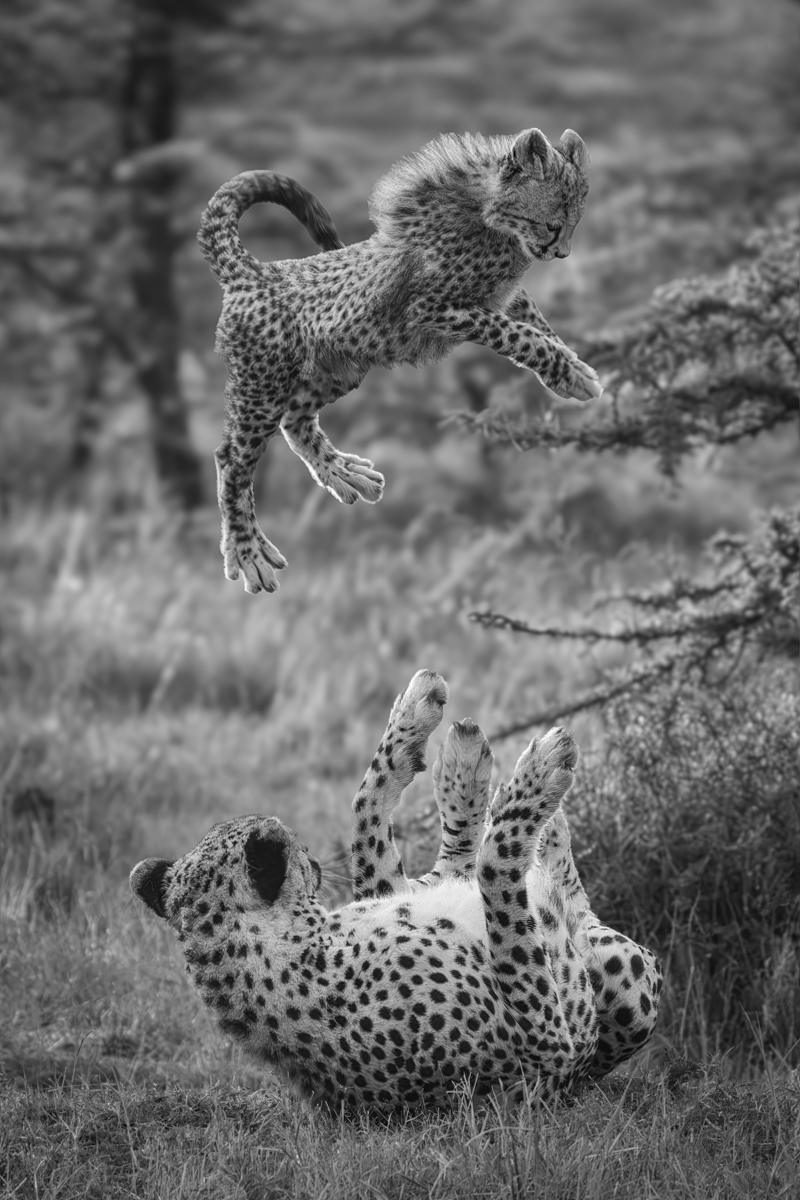 Catch!