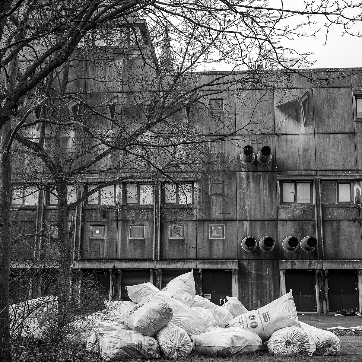 Mice Bunker - The Brutalist Relic