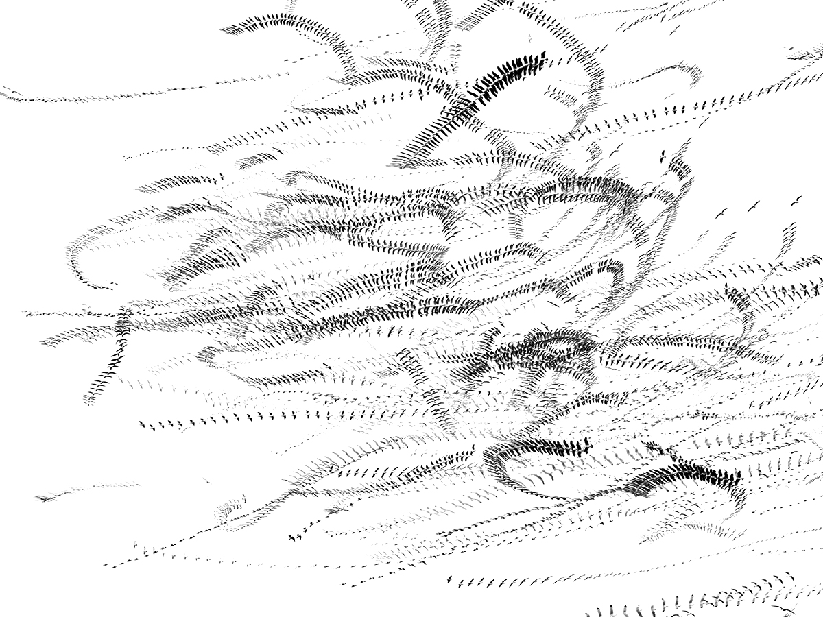 The Drawing of Time