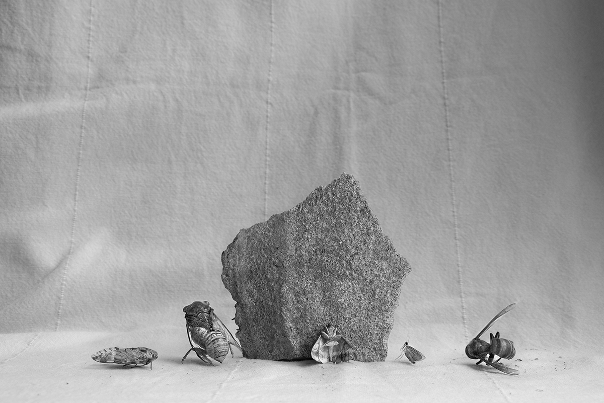 A Quiet Discourse of the Dead