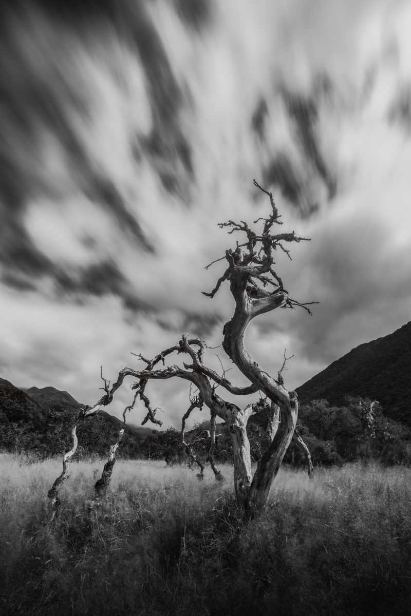 Mountainscapes 