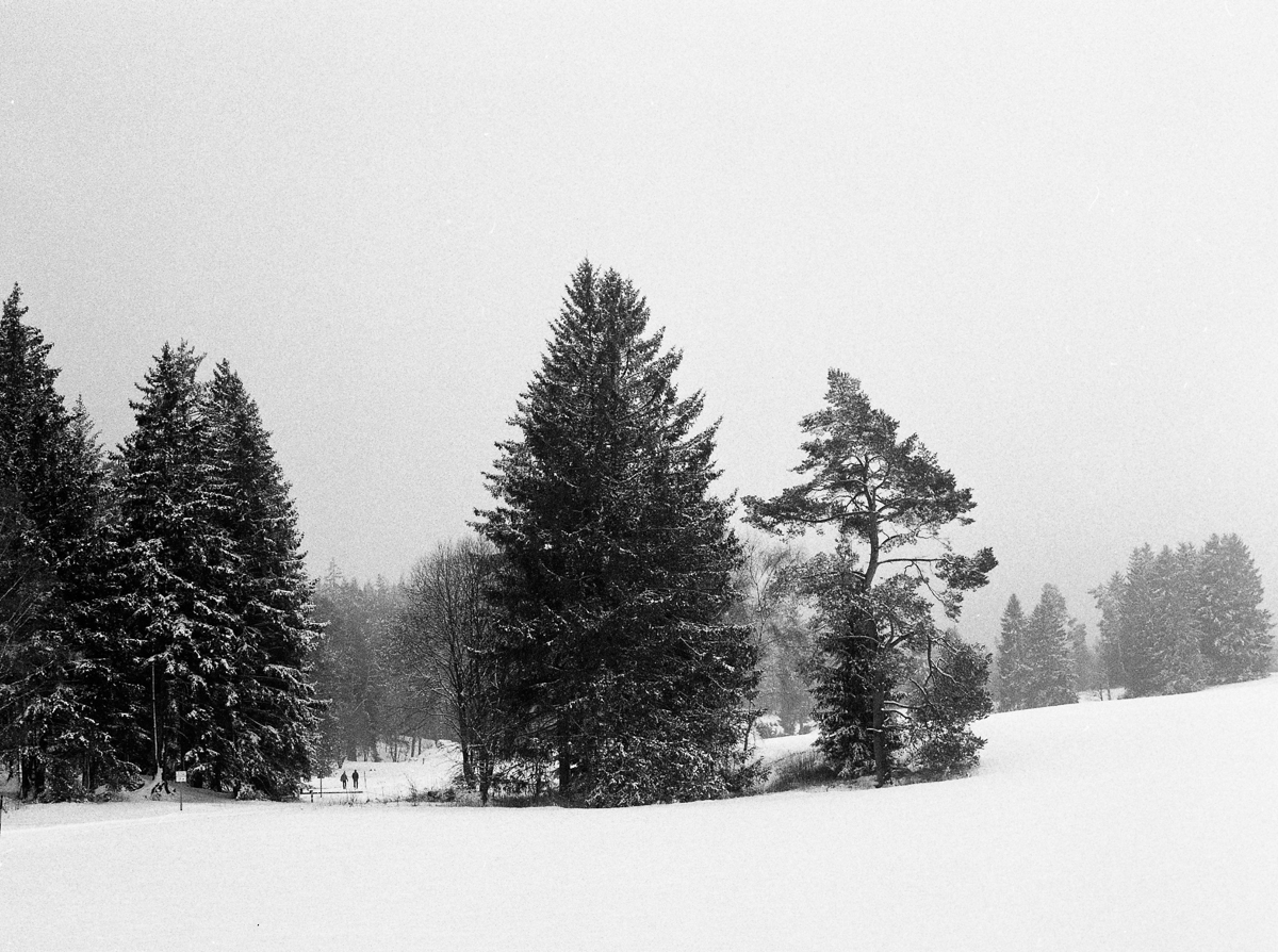 a winter journey