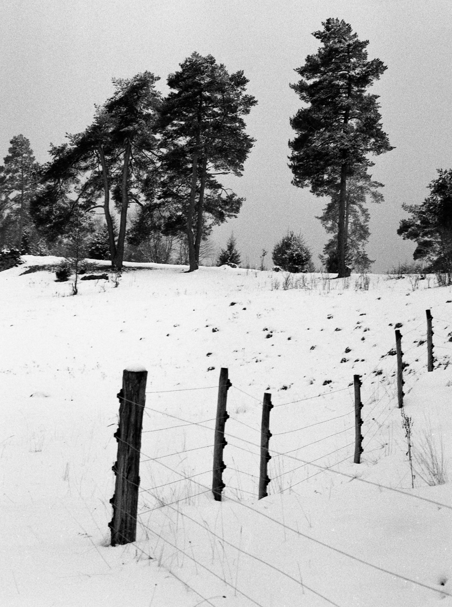 a winter journey