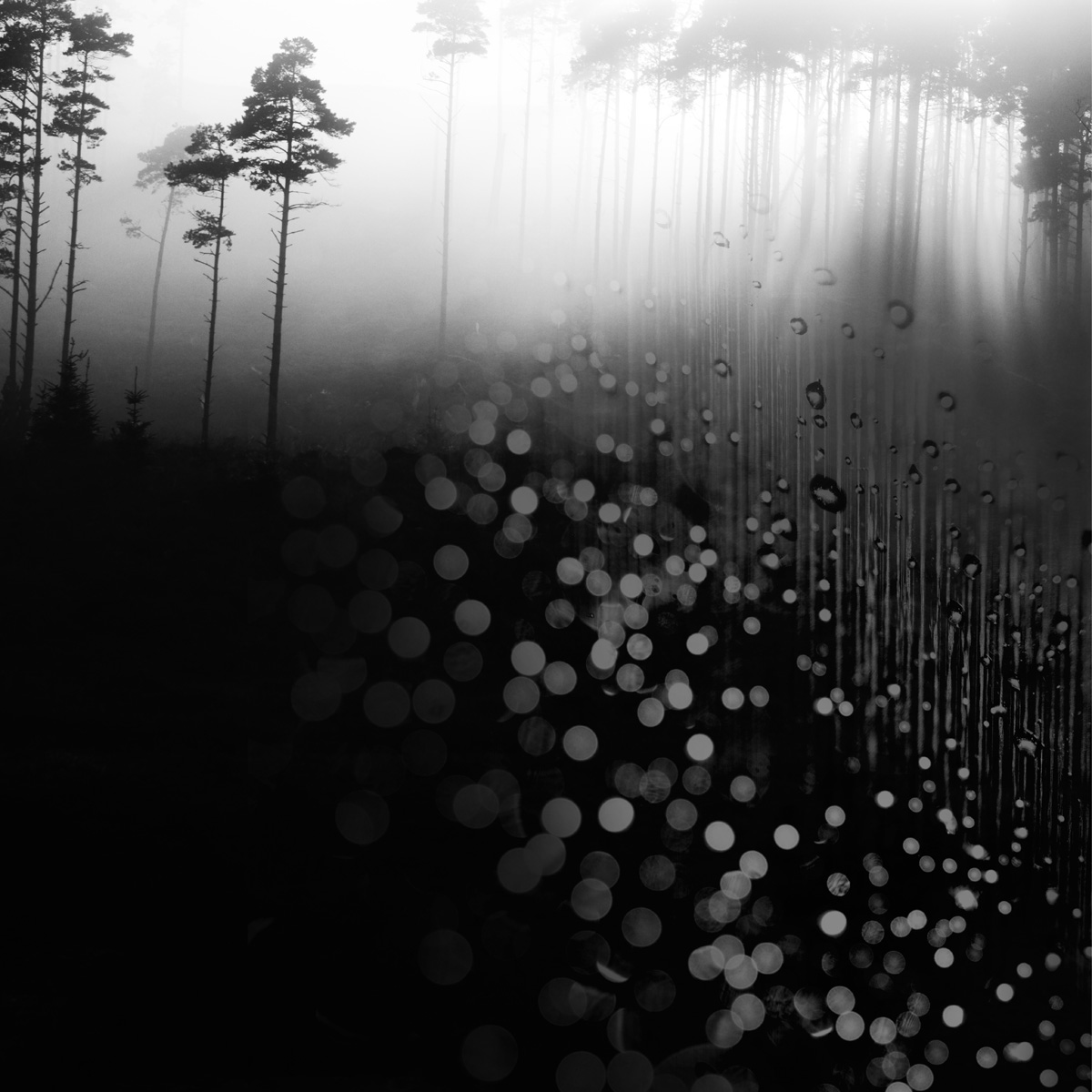 Emotional Metadata: Amor Fati