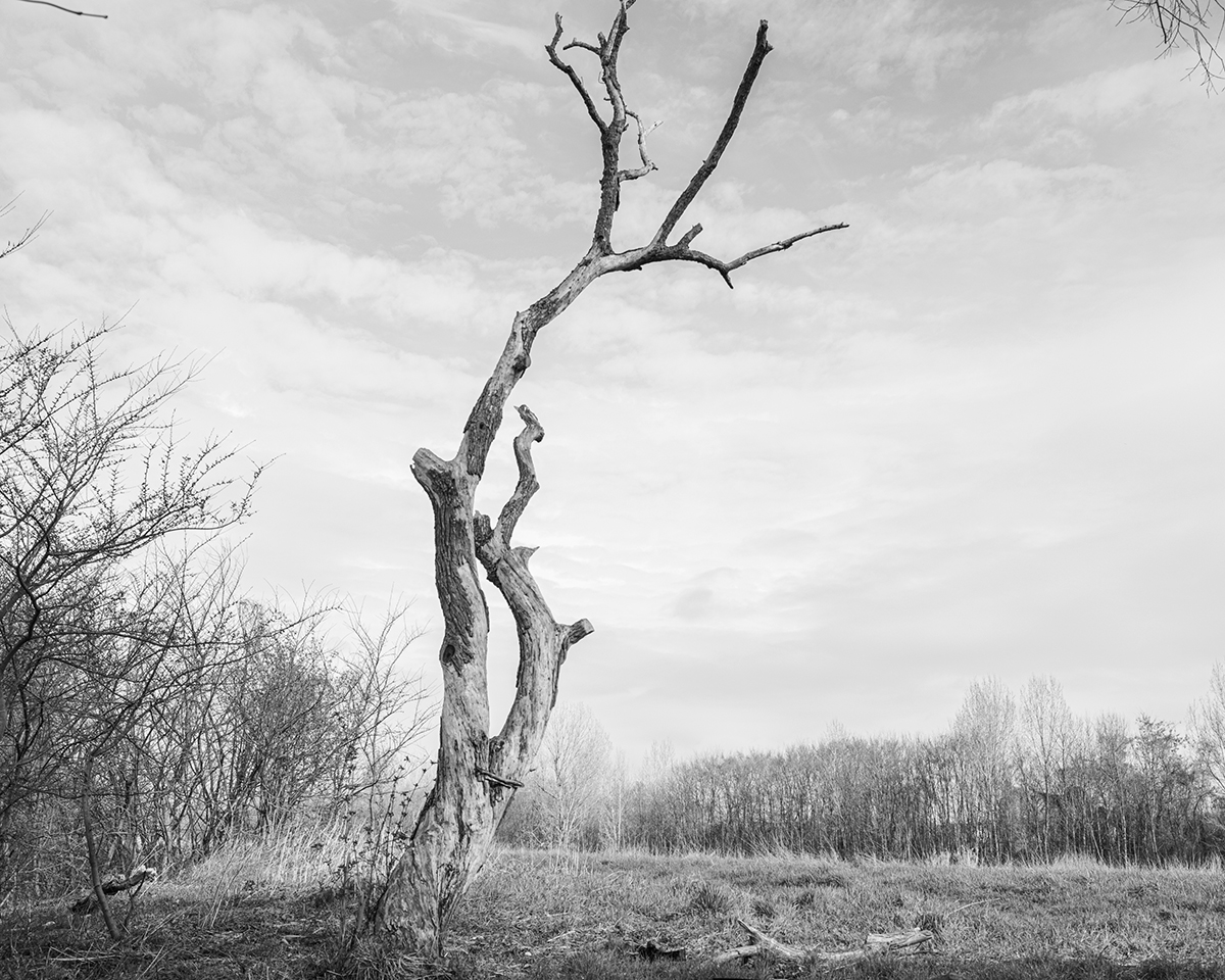 Where the Land Waits