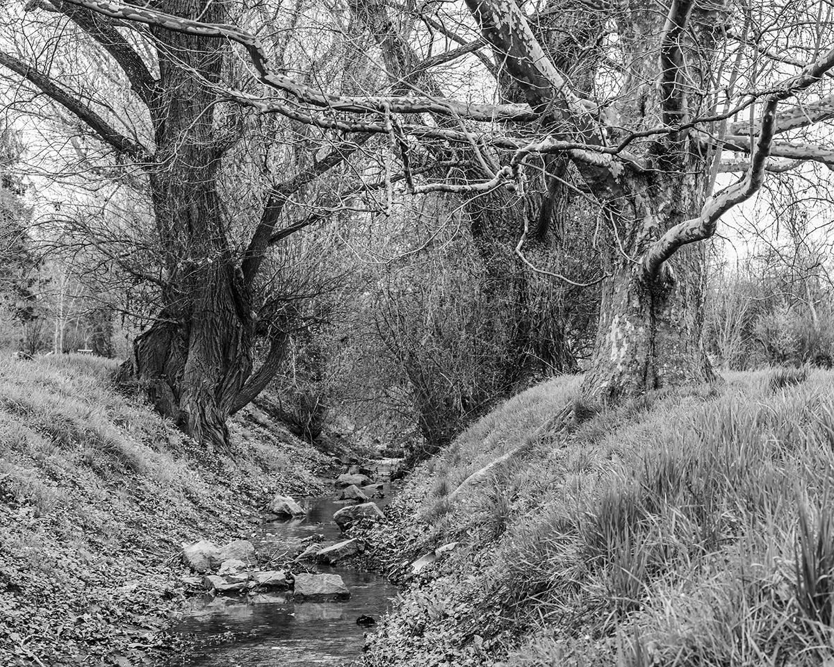 Where the Land Waits