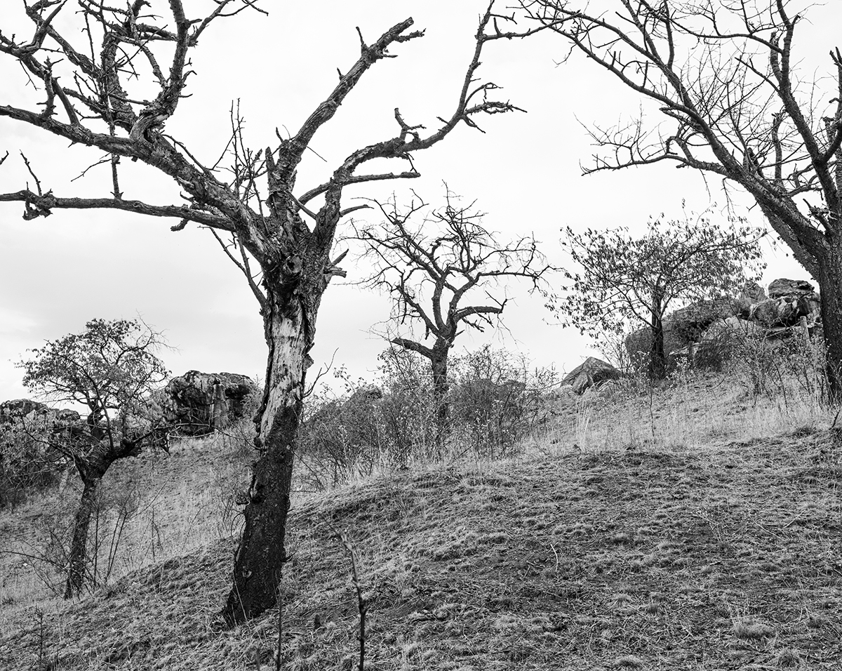 Where the Land Waits