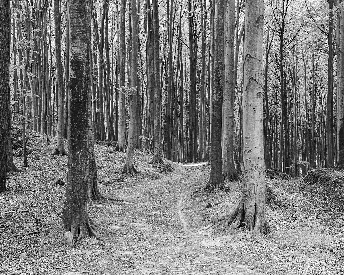 Where the Land Waits