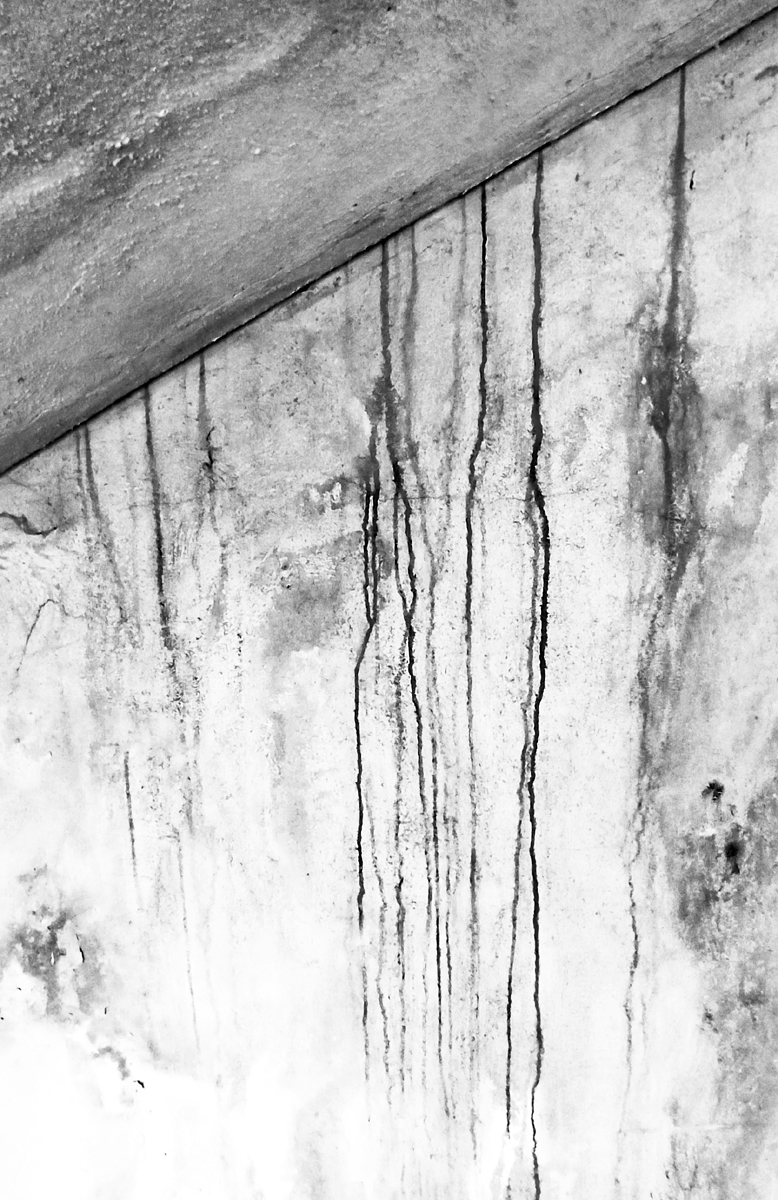 Bleeding walls