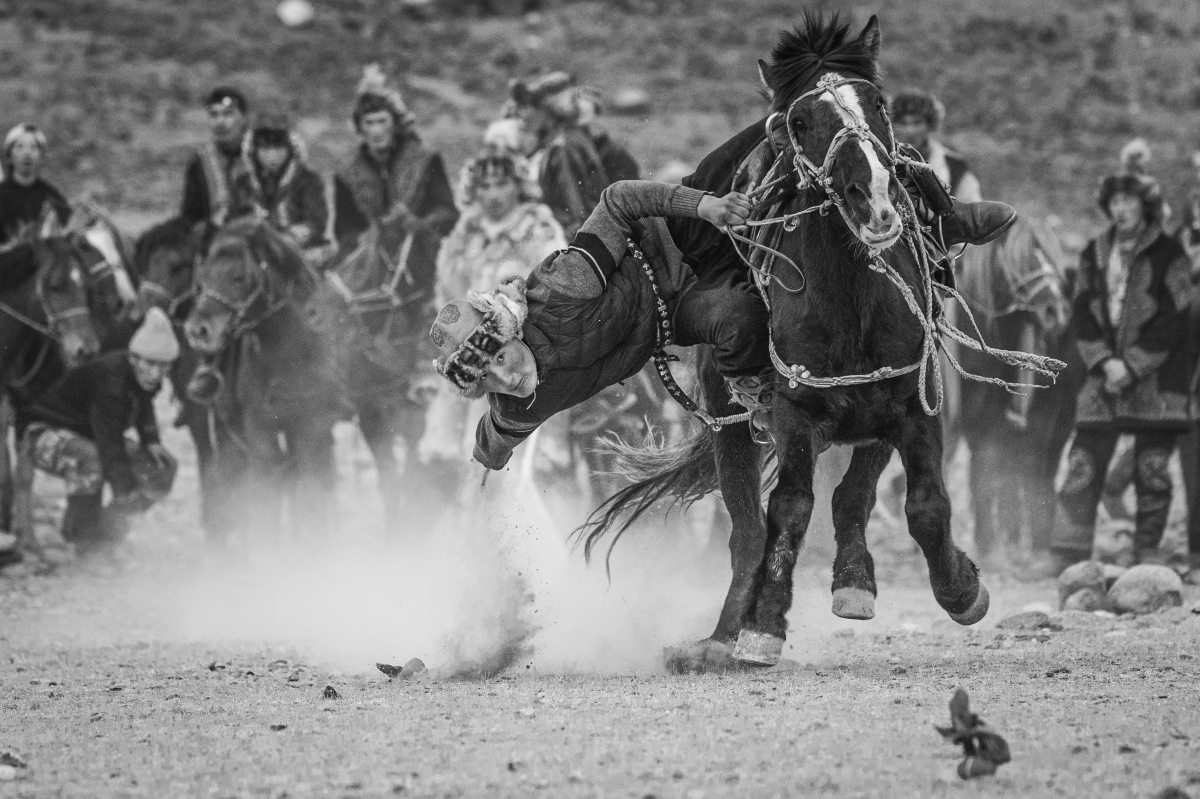 Perfect balance at full gallop