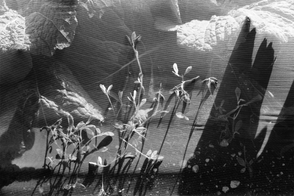 The Tarped Landscape