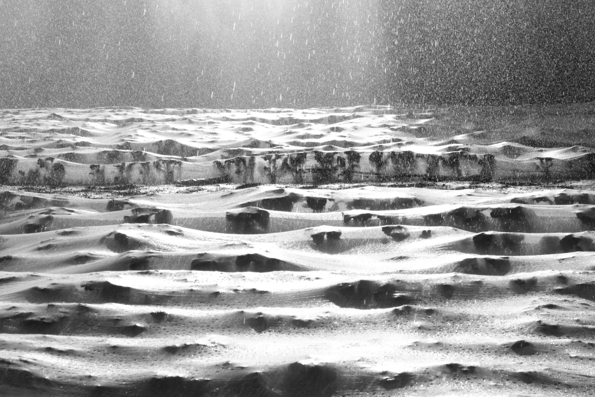 The Tarped Landscape