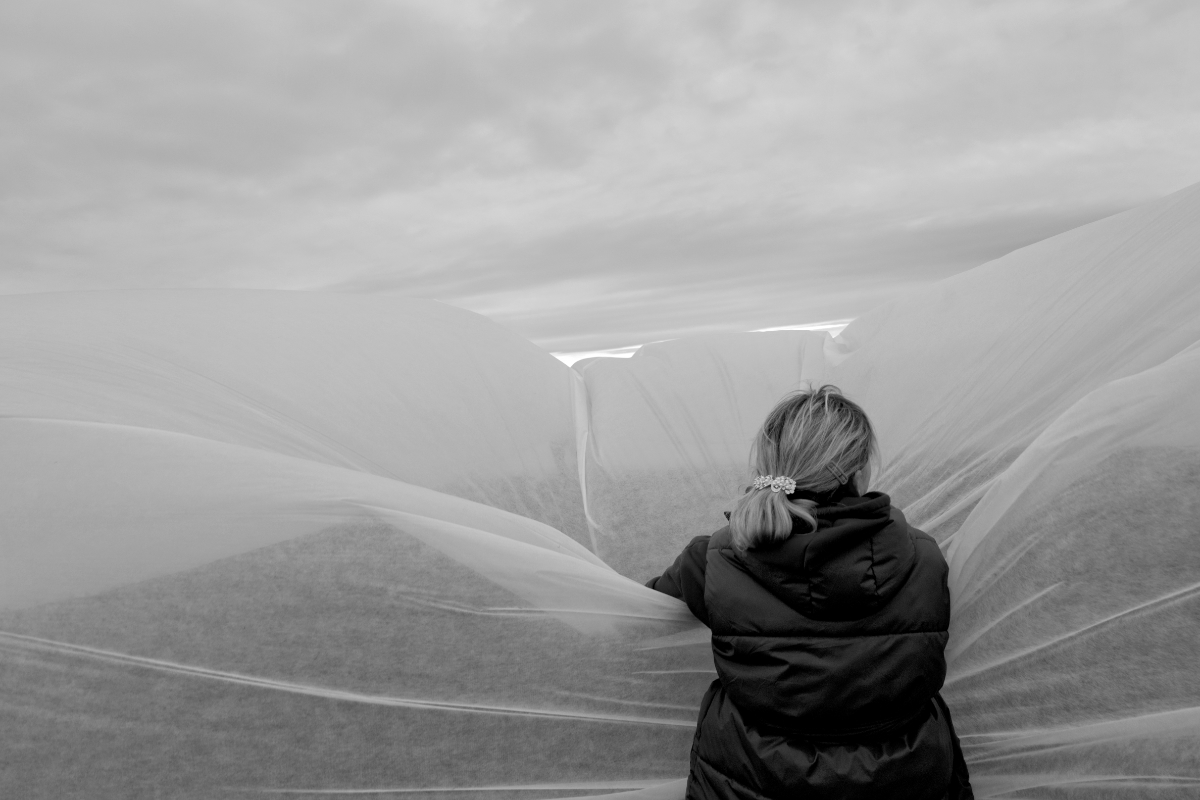 People in the Fields