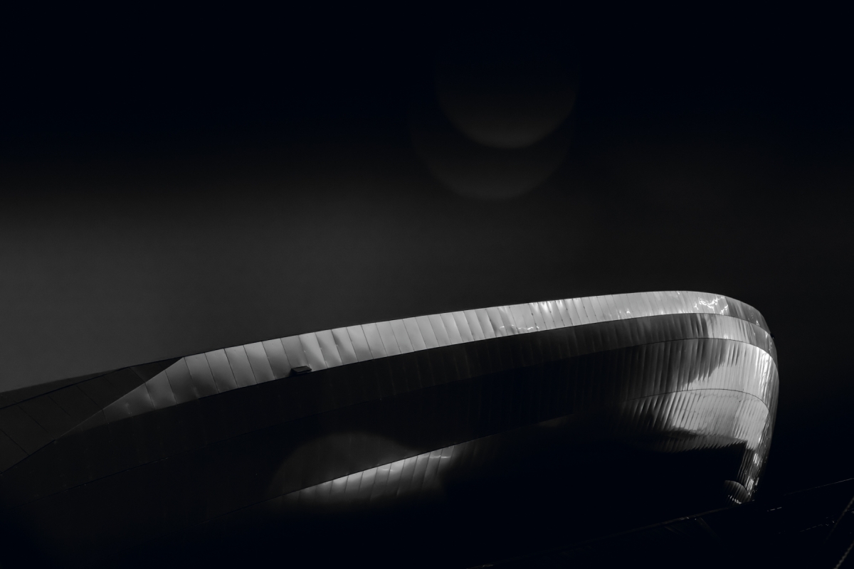 Dark Remnant