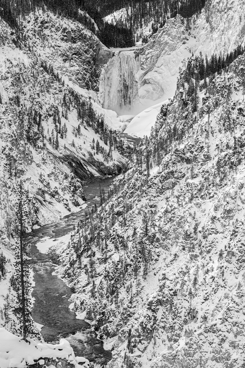 Yellowstone Falls 