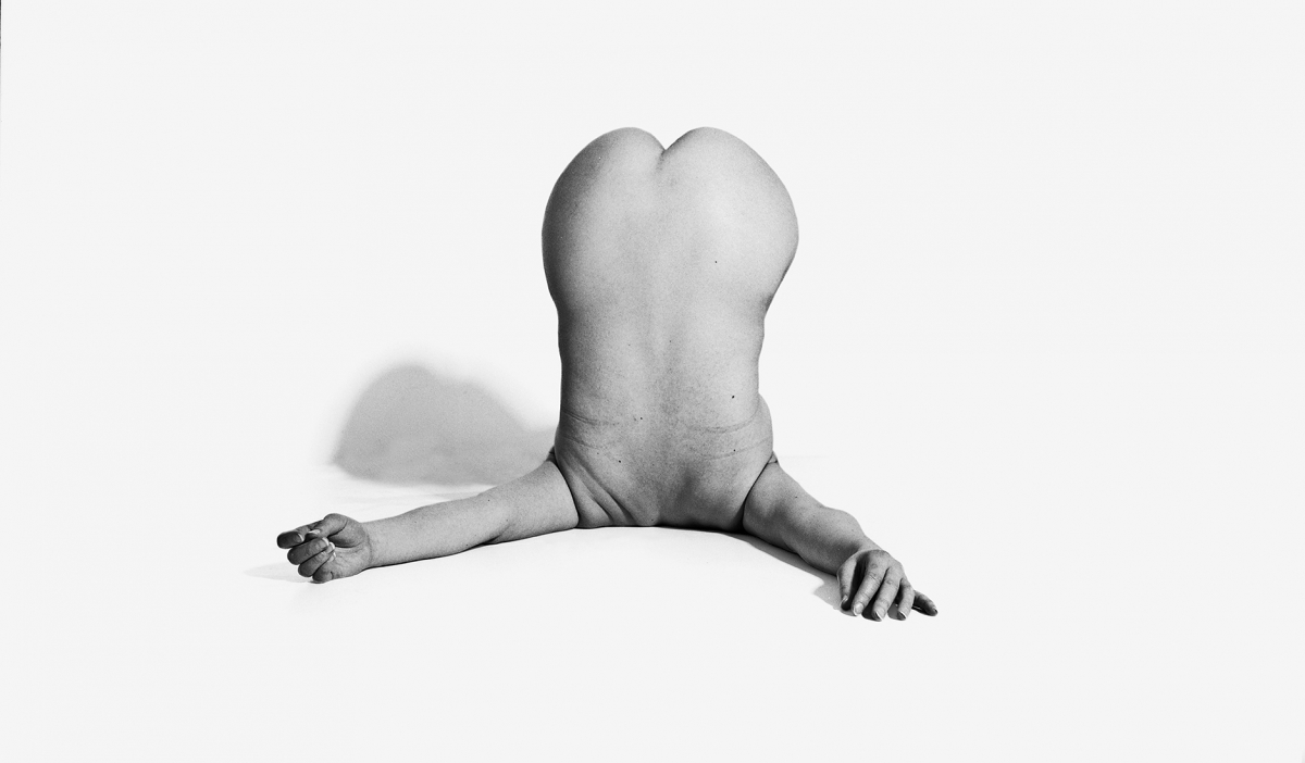 Bodies