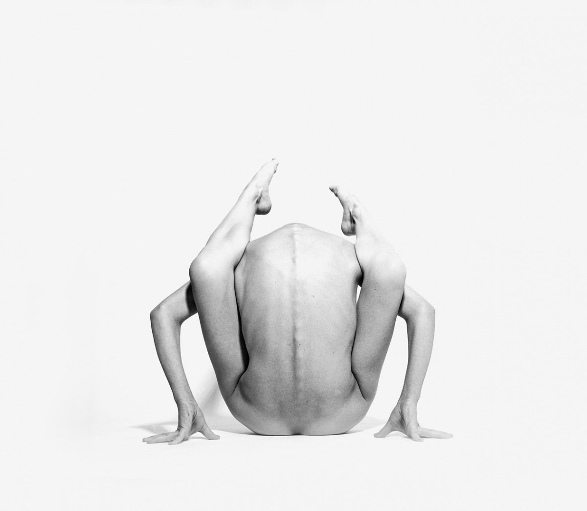 Bodies