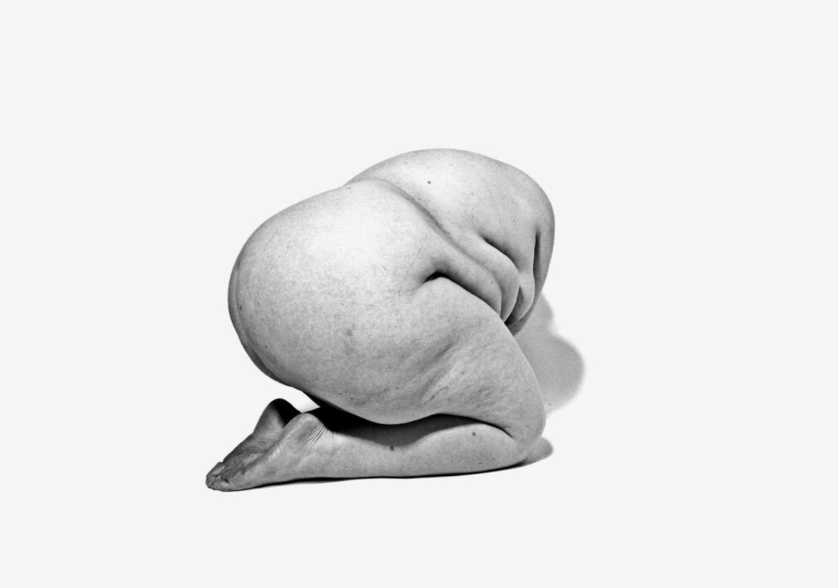 Bodies