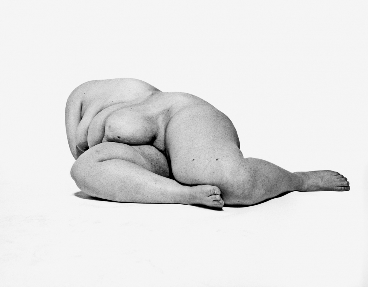 Bodies