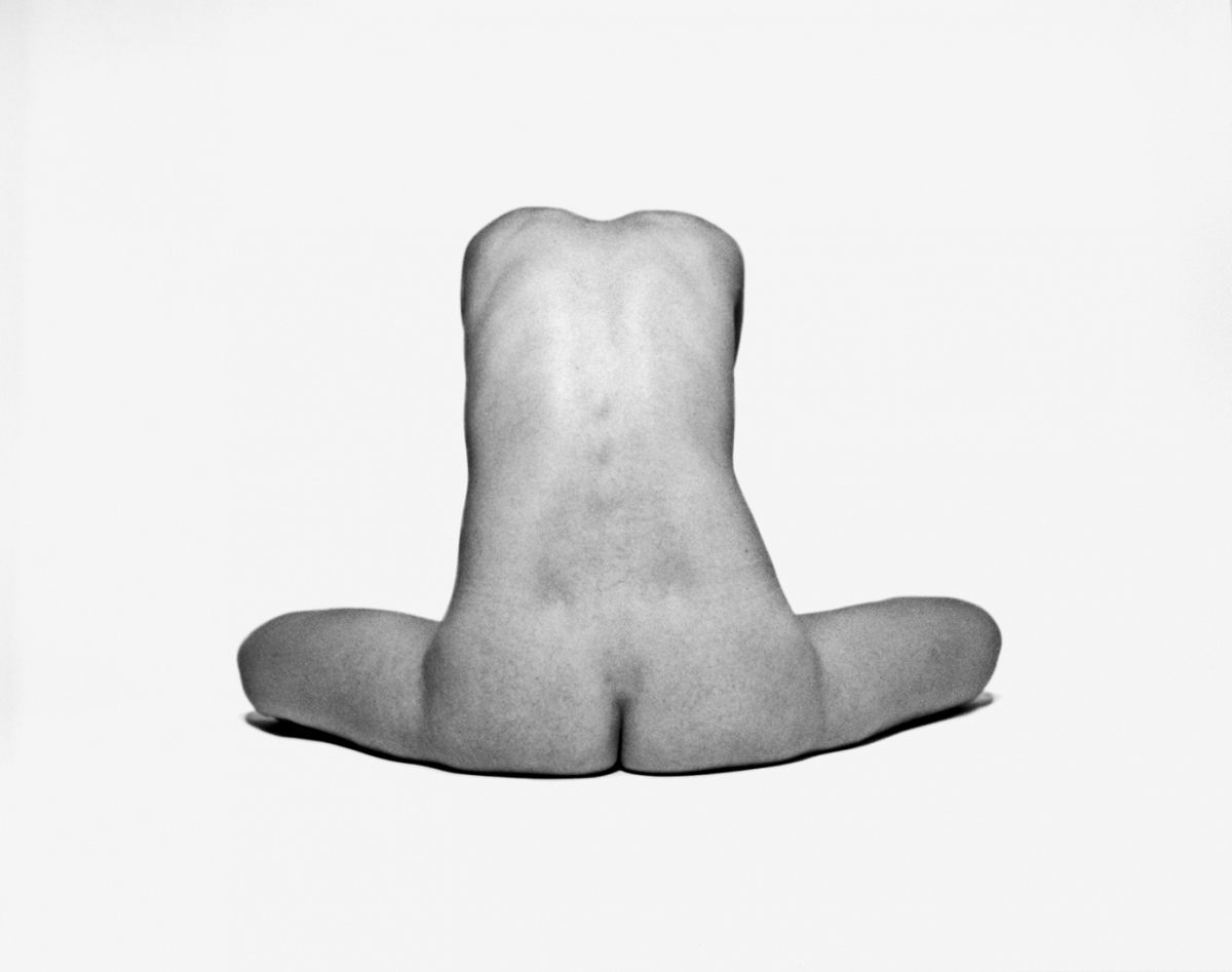 Bodies