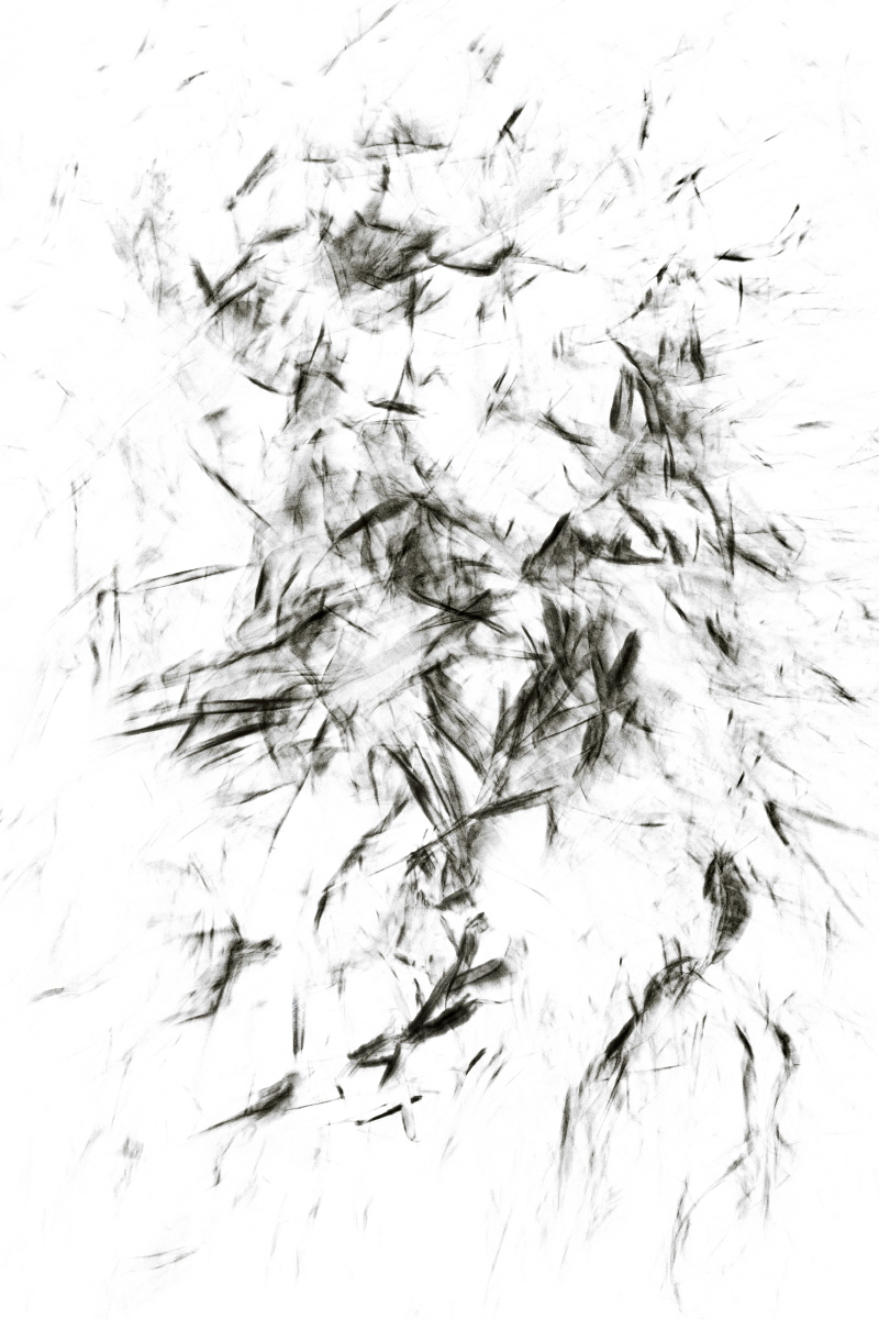 Light Becoming Ink