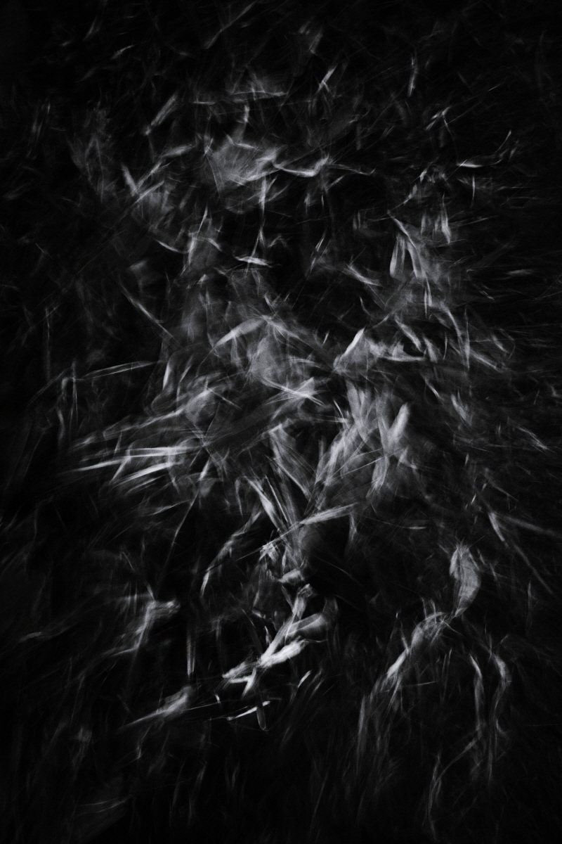 Resonance of Light