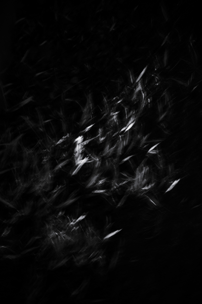 Resonance of Light