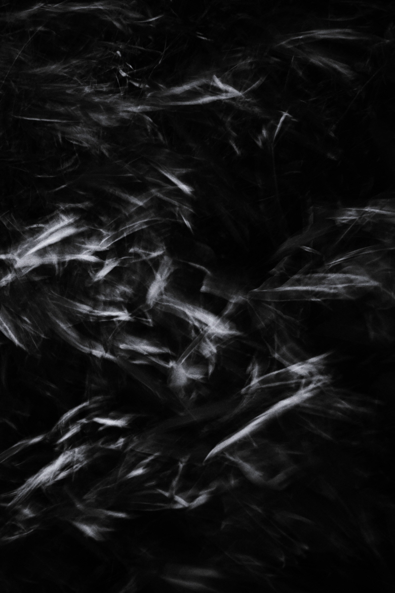 Resonance of Light