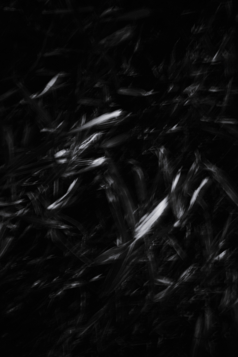 Resonance of Light
