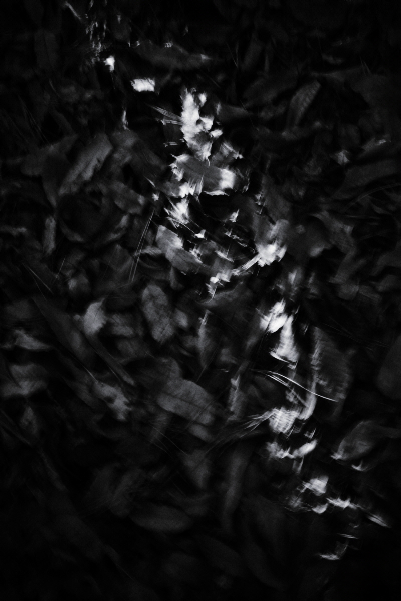Resonance of Light