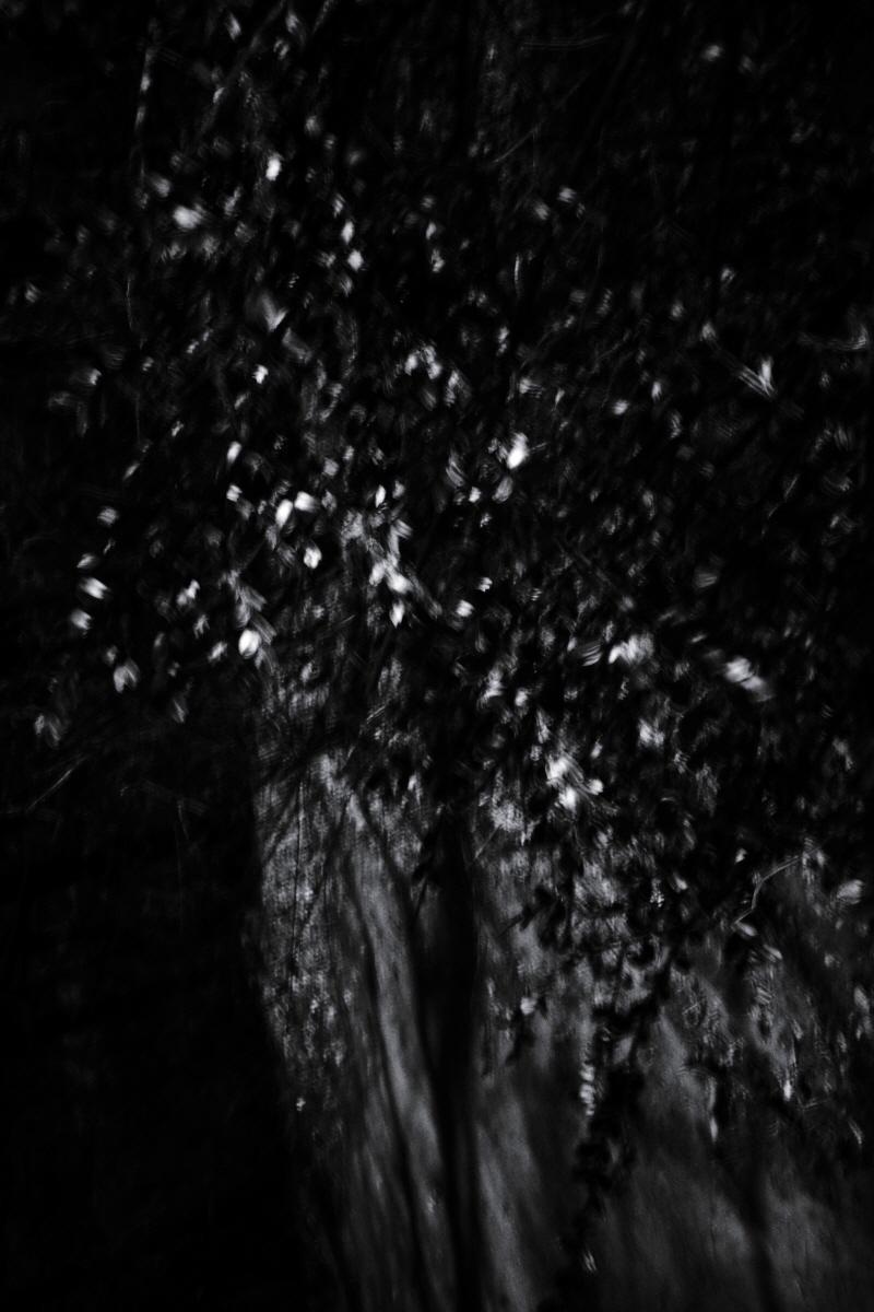 Resonance of Light