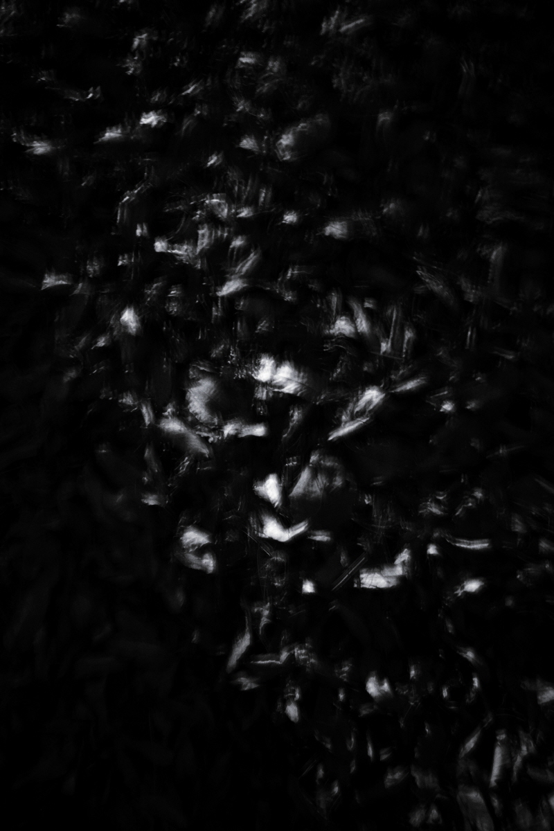 Resonance of Light