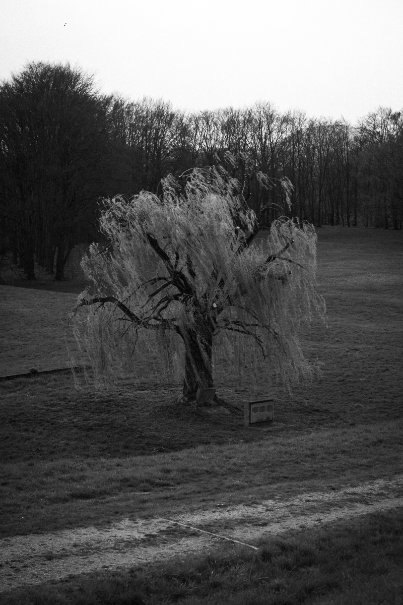 The Burden of Memory