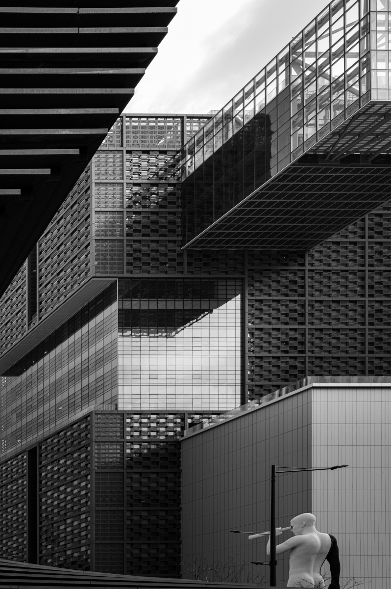 Rhythm and Form