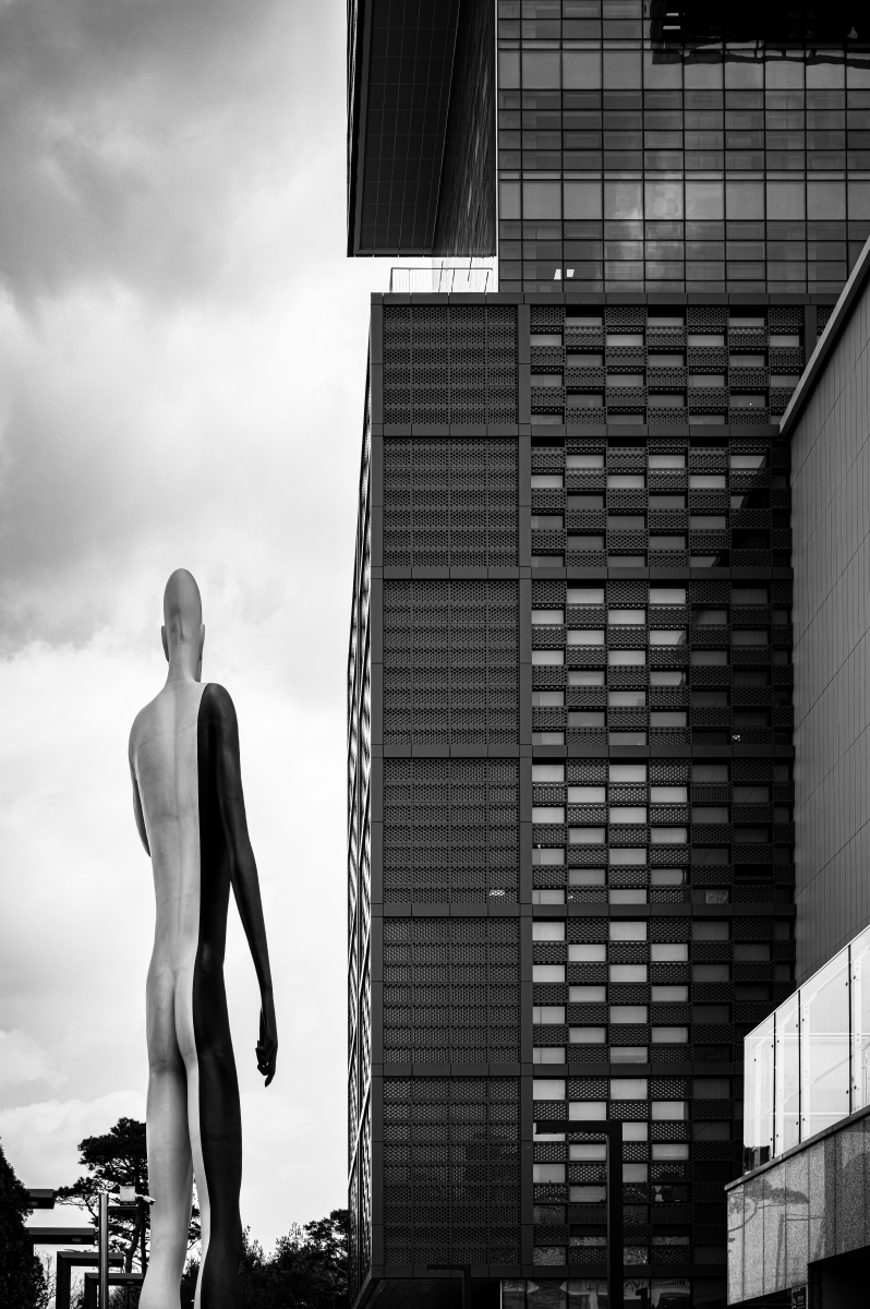 Rhythm and Form