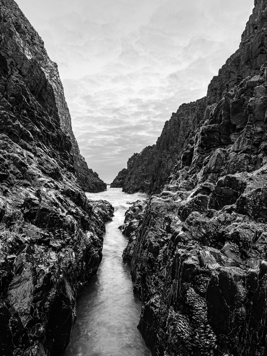 The Oregon Coastline