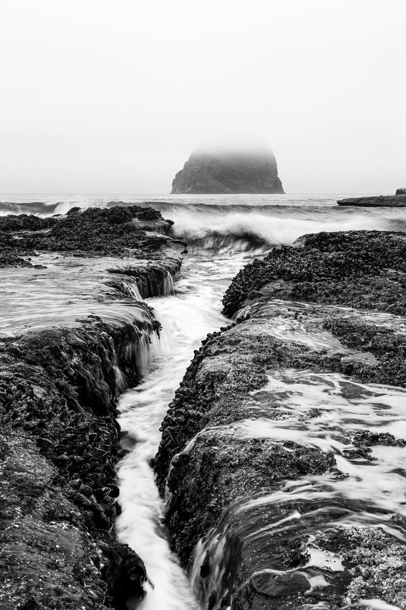 The Oregon Coastline