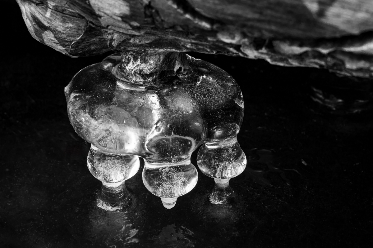 Between Two Waters: Fragments of Frozen Rivers