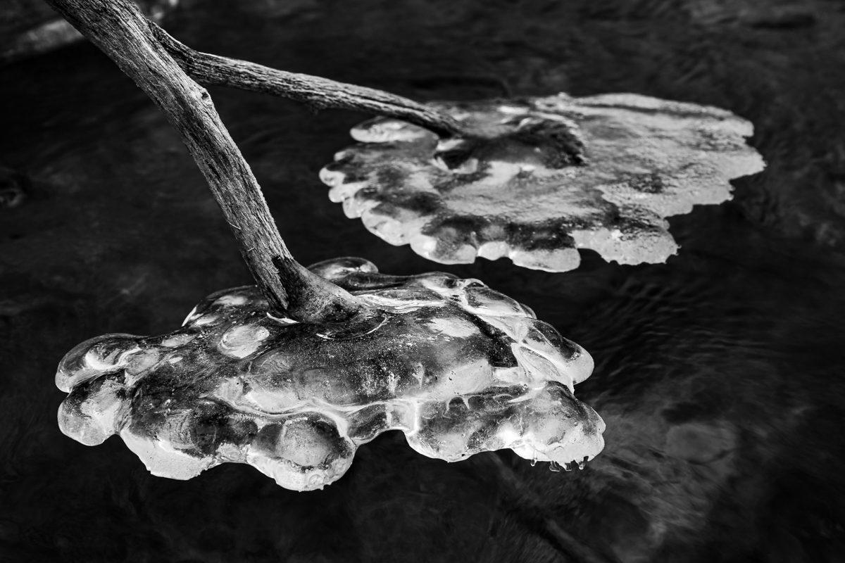 Between Two Waters: Fragments of Frozen Rivers
