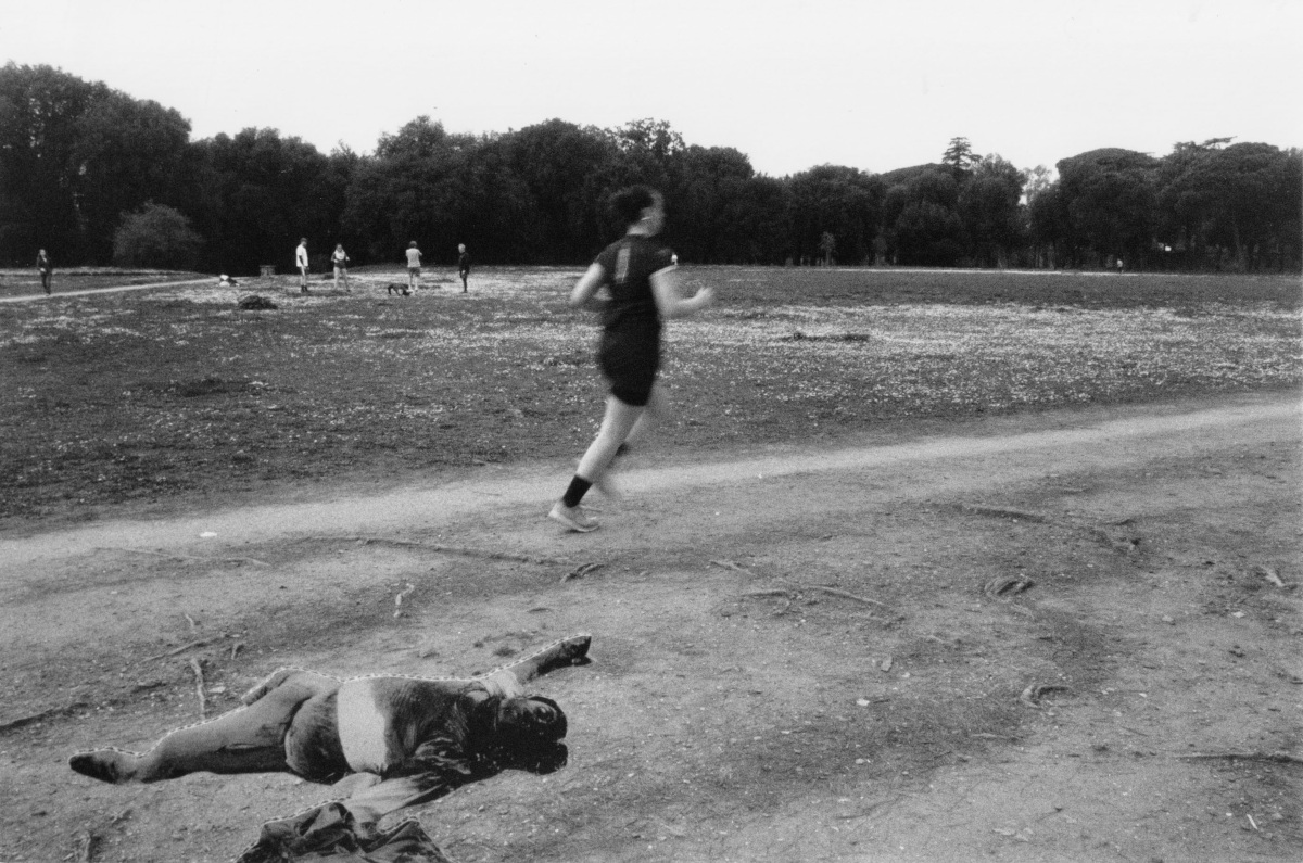 Papaveri Rossi / Red Poppies