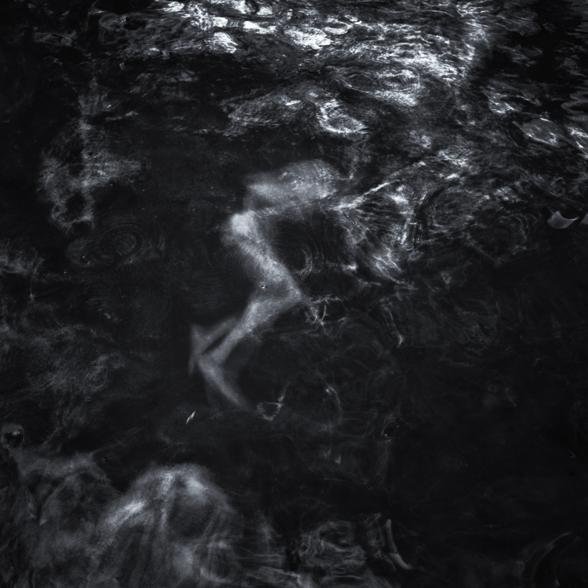 trapped in a dream