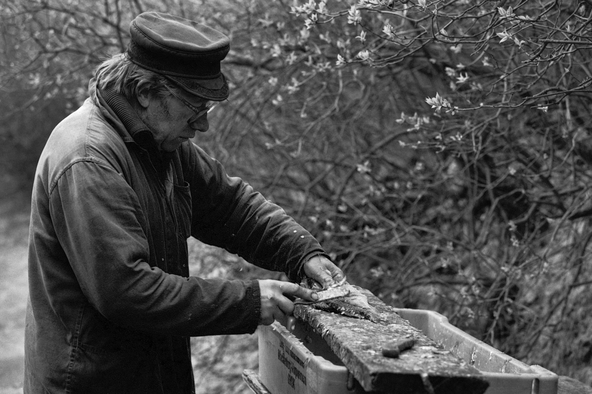 Sustainable fishing, but hard work