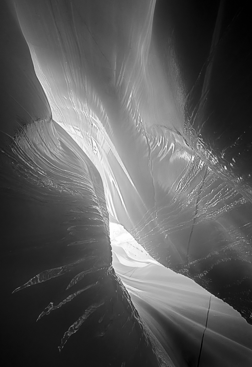 Still, In Motion