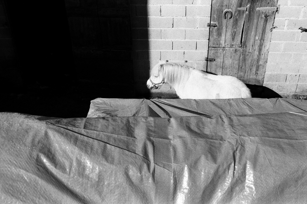 Kinds of waits