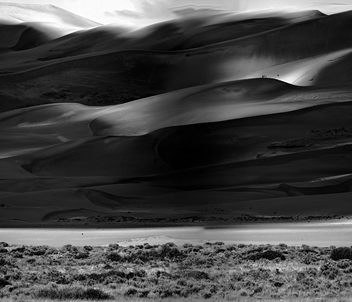 Whispers in the Wind