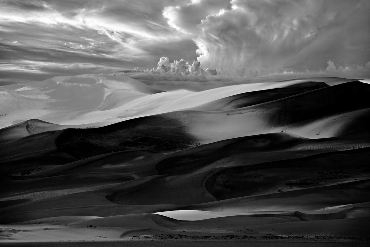 Whispers in the Wind
