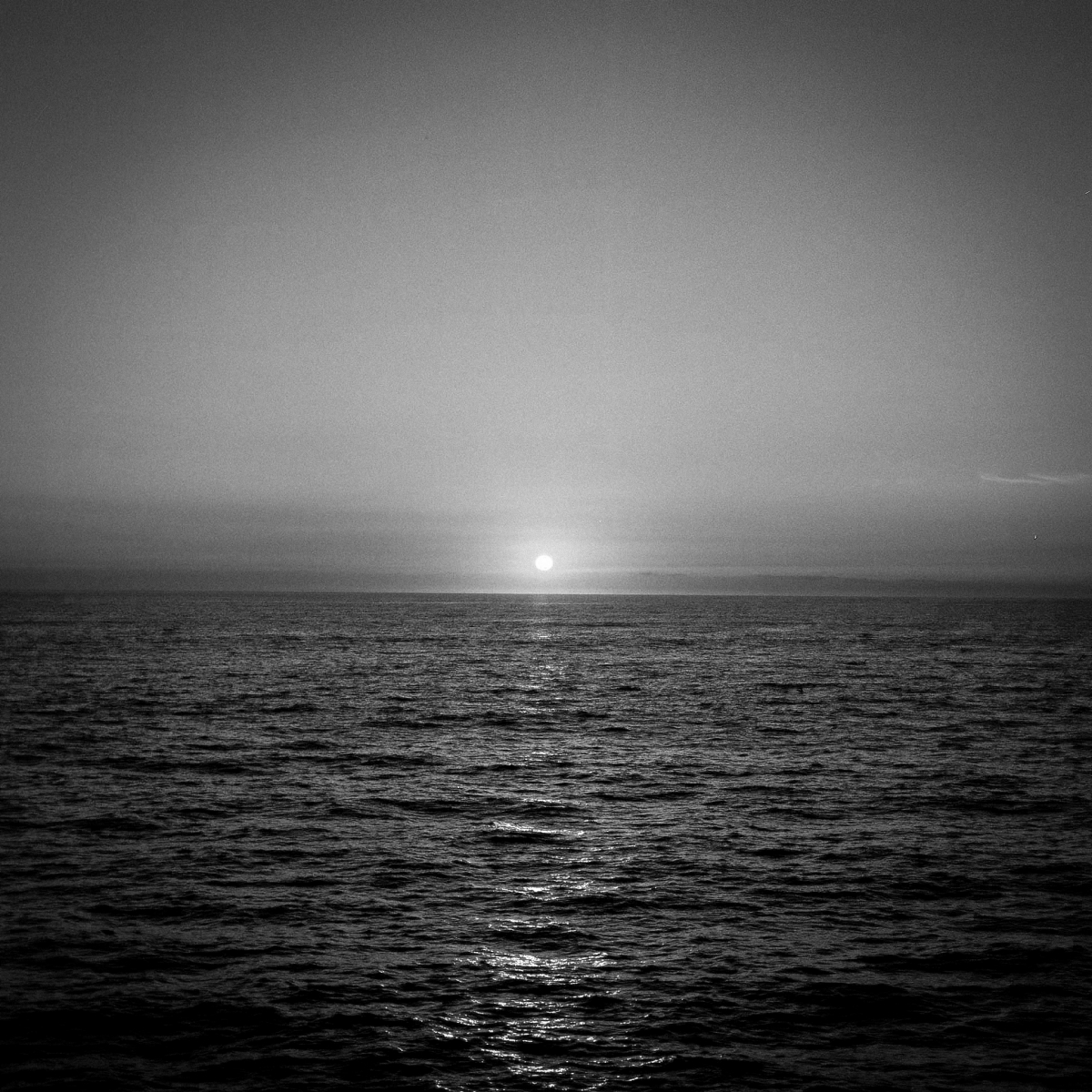 Shifting Landscapes