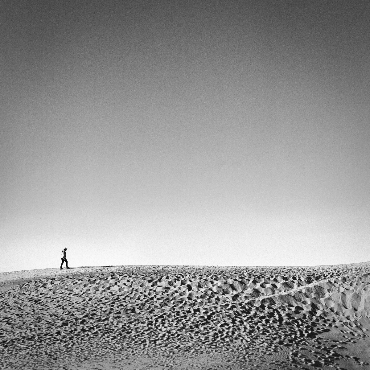Shifting Landscapes