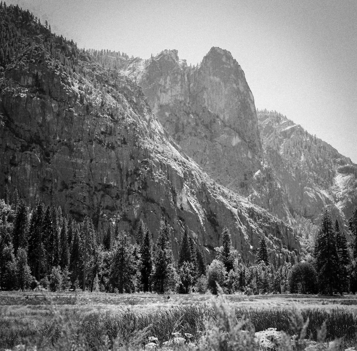 Shifting Landscapes